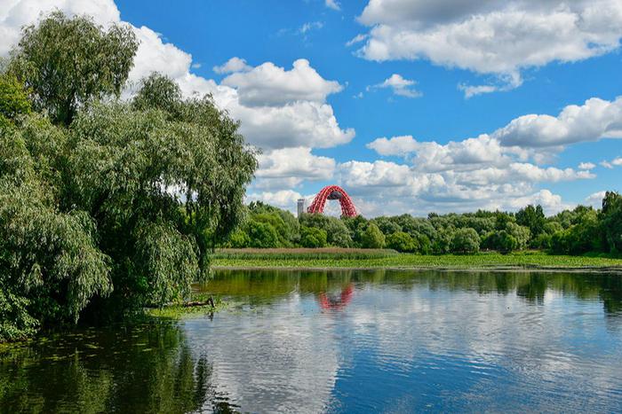 Собянин: Акваторию Москвы-реки освободят от затонувших и незаконно отстаивающихся судов