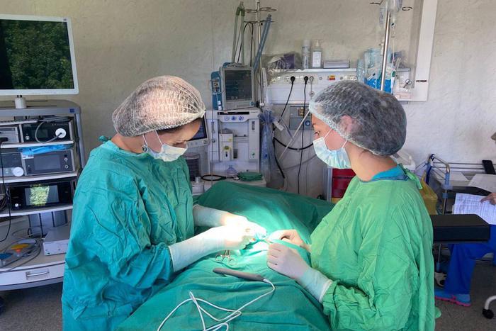 В Видном хирурги экстренно прооперировали семилетнего мальчика с гемофилией