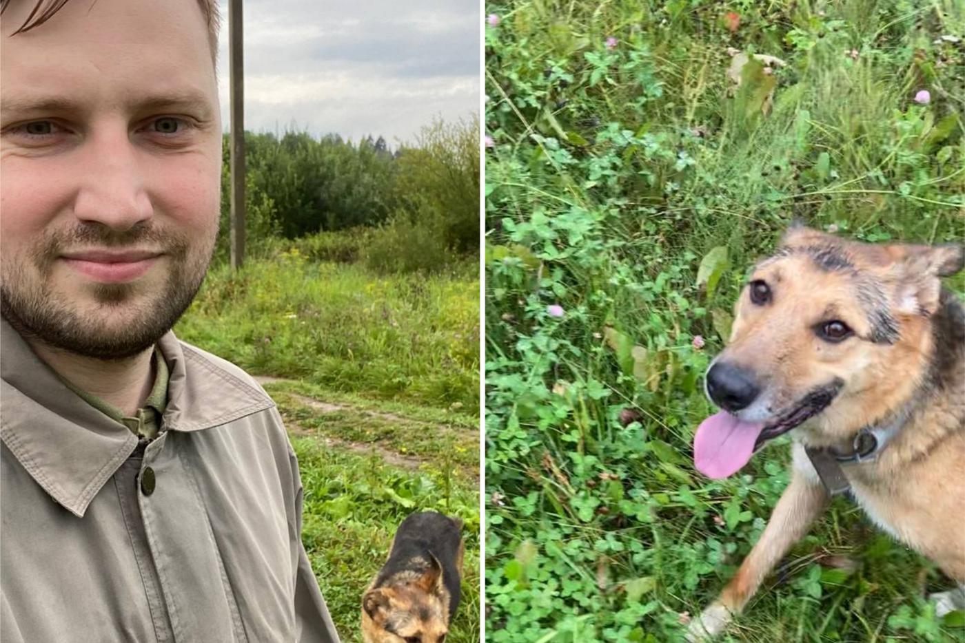 Лёва, будь человеком! Каждого москвича готова выгулять одинокая собака