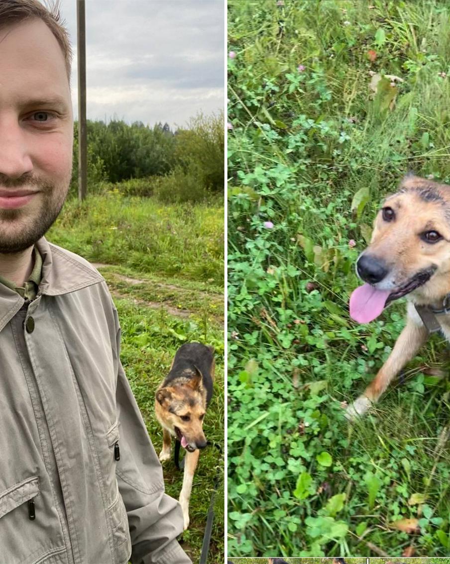 Лёва, будь человеком! Каждого москвича готова выгулять одинокая собака