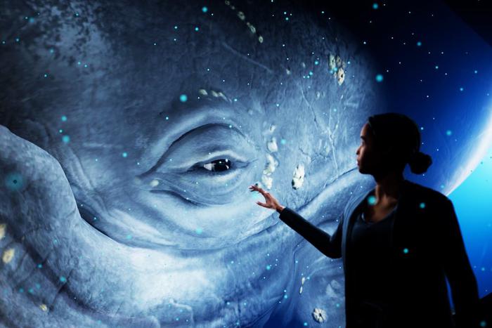 В Австралии открылся зоопарк, где динозавр может наступить на посетителя – и тот останется живым