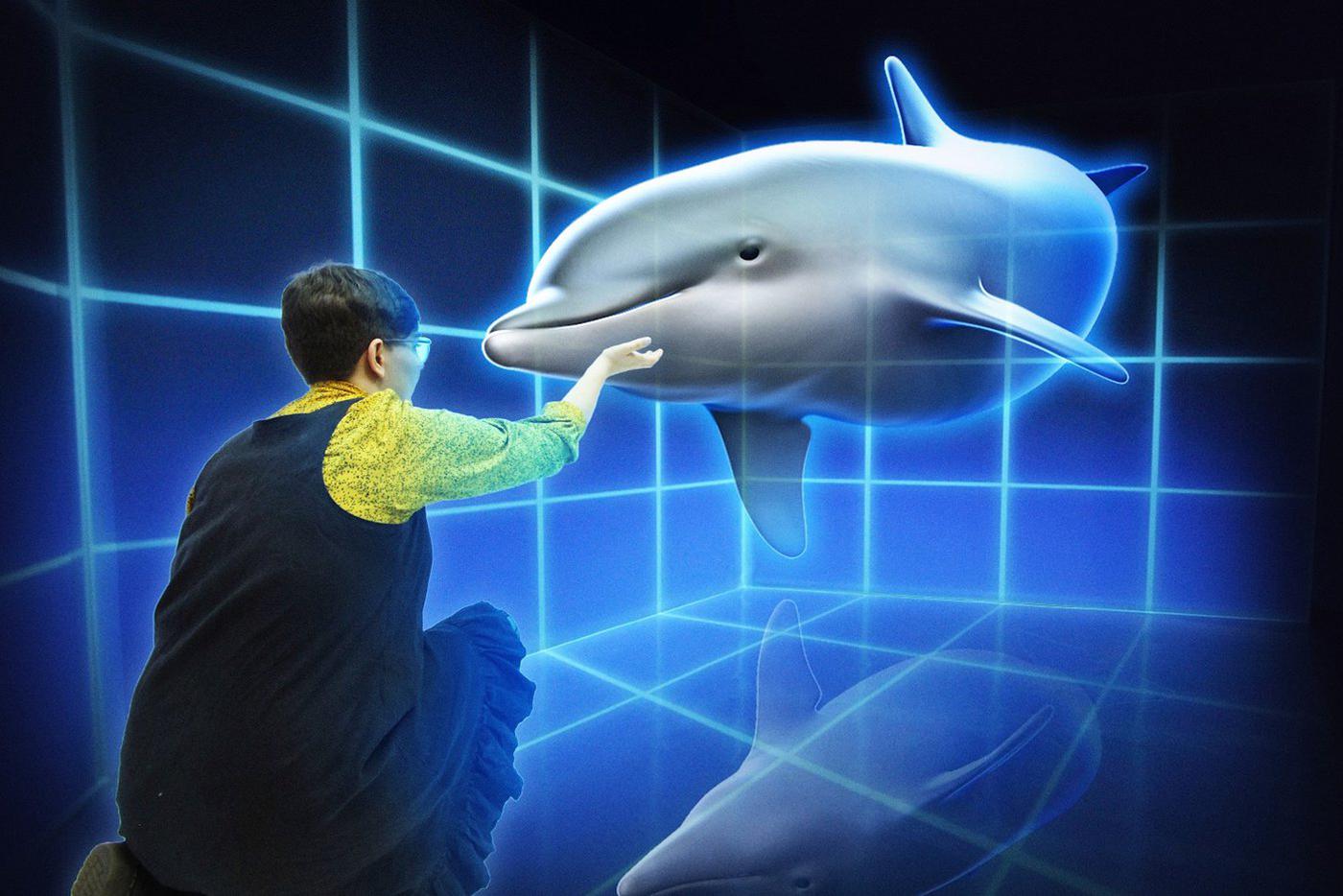 Дельфин, плывущий к человеку.