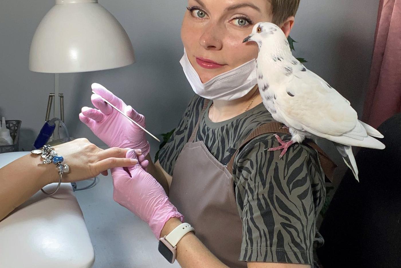 Голубь Беляш устроился в маникюрный салон и по блату делает себе ноготочки