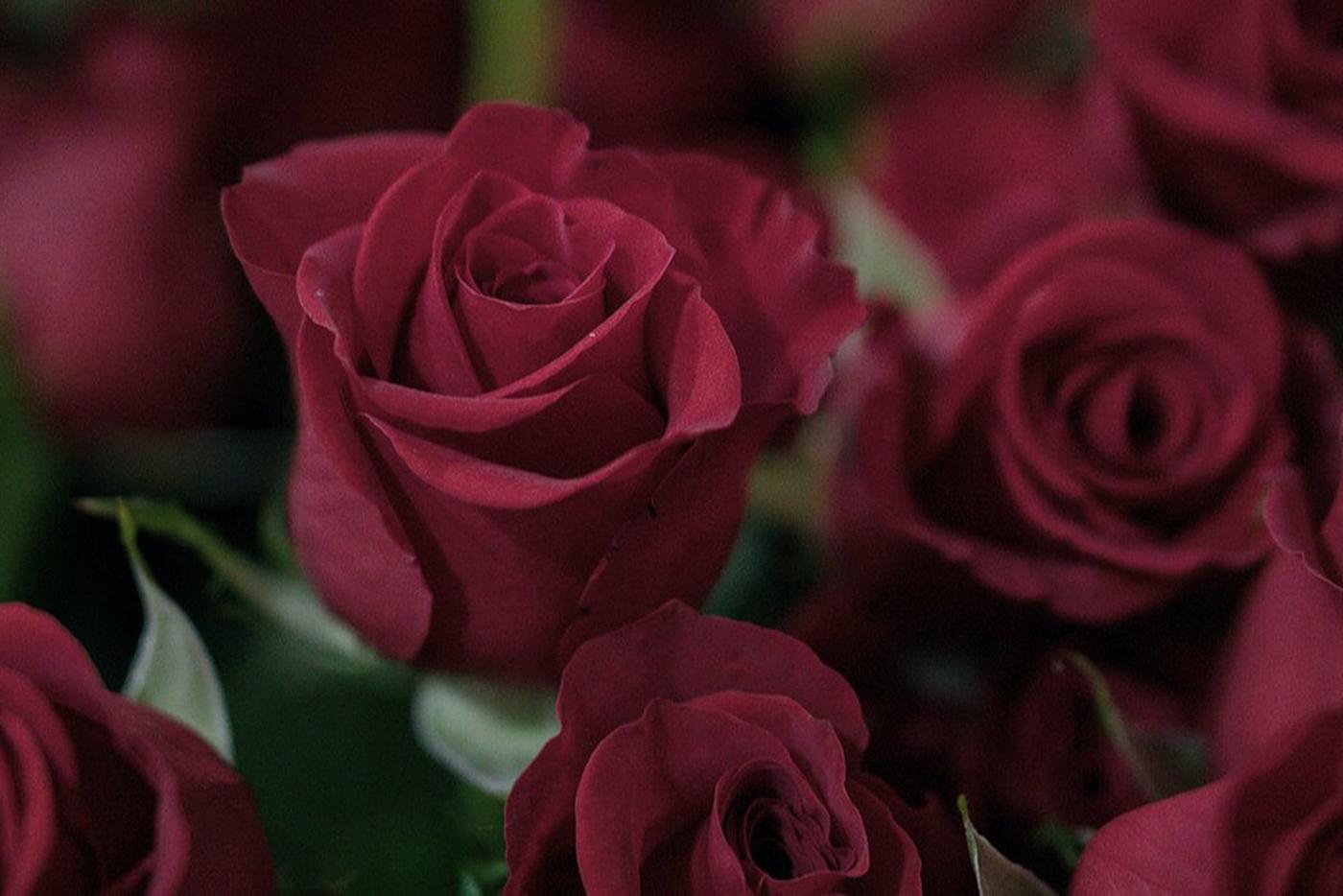 Собянин выразил соболезнования родственникам погибших в коллекторе Неглинки