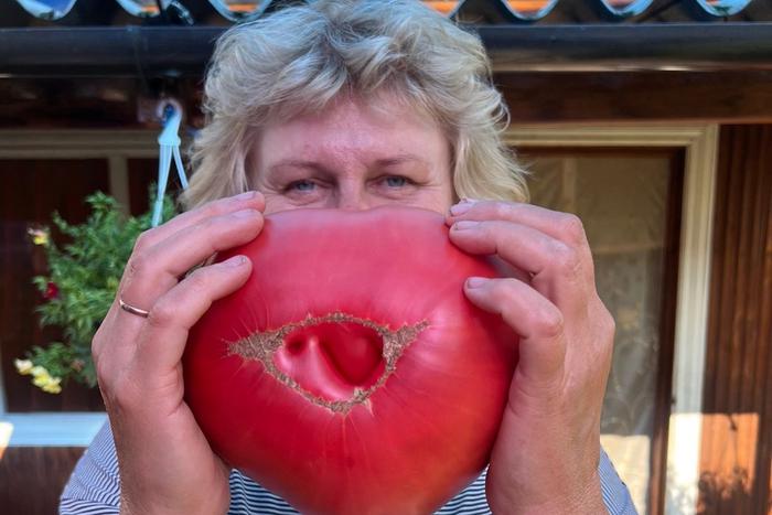 Засудили за "бычий лоб". Помидорный скандал добрался до Следственного комитета