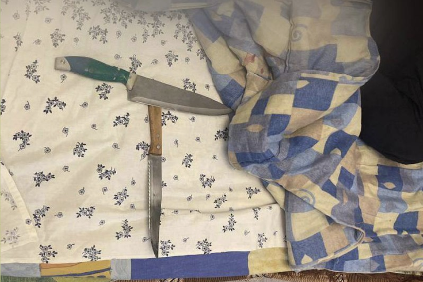 Москвичка ударила 154 раза ножами собутыльника сразу после отсидки за убийство