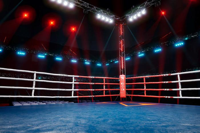 Усик отправил Дюбуа в технический нокаут