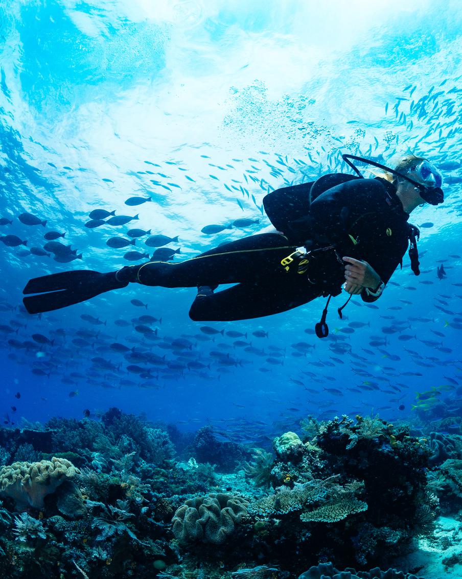 СМИ: россиянка пропала во время дайвинга в Хургаде