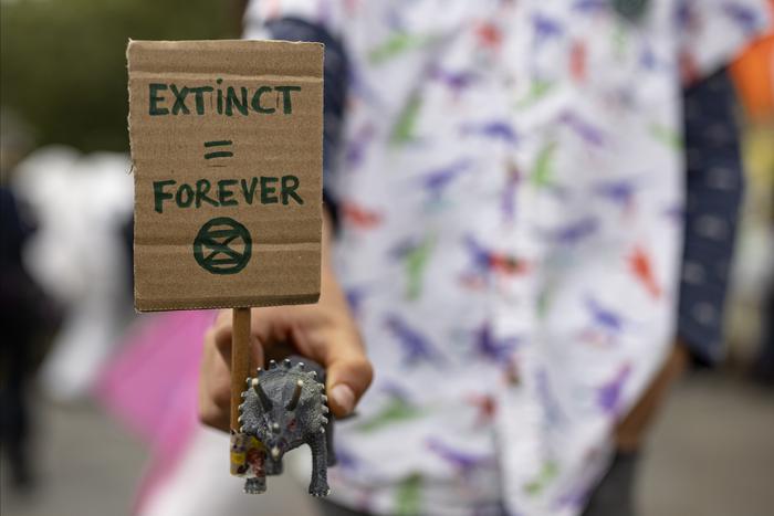 Эпоха шестого вымирания могла уже начаться, но человек всё ещё может помочь своей планете, считают учёные