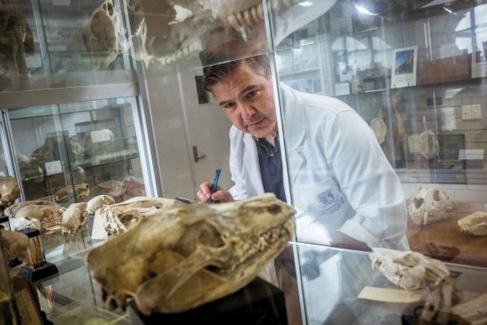 Как воскресить умерших животных: Metro поговорило с генетиком из Мельбурнского университета