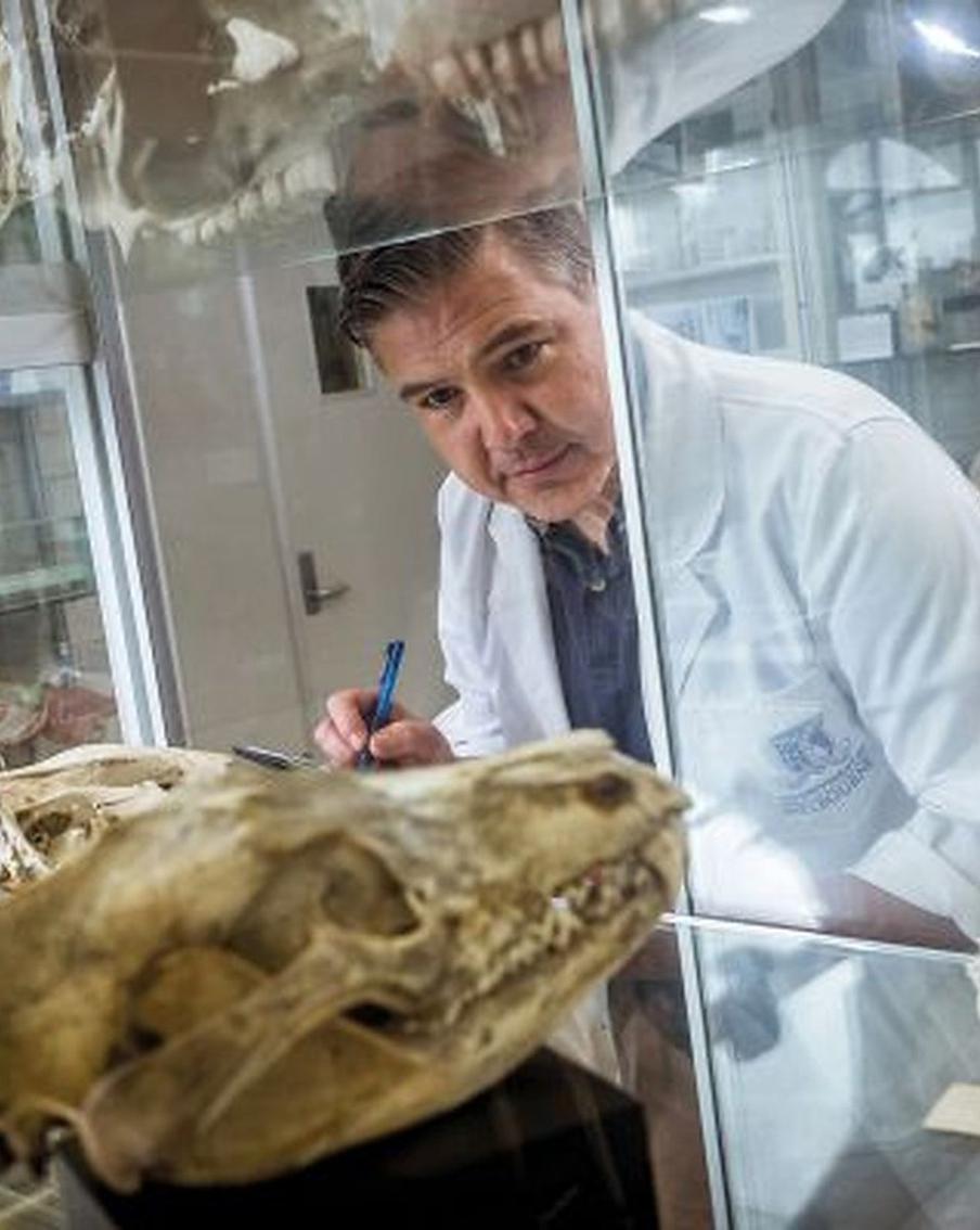 Как воскресить умерших животных: Metro поговорило с генетиком из Мельбурнского университета