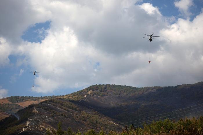 Крупный лесной пожар потушили в Геленджике