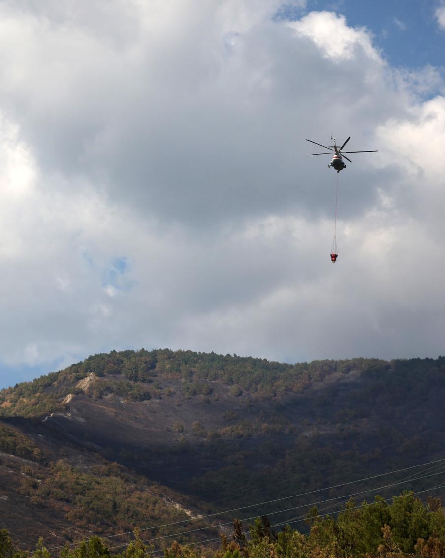 Крупный лесной пожар потушили в Геленджике