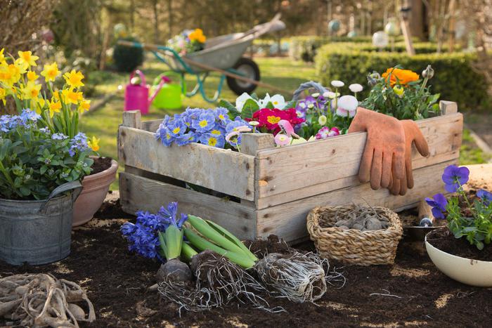 Топ-10 советов от эксперта, чем заняться садоводу осенью