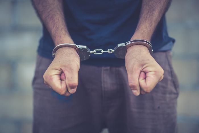 Источник: в Москве задержали подозреваемого в ограблении квартиры Рутберг