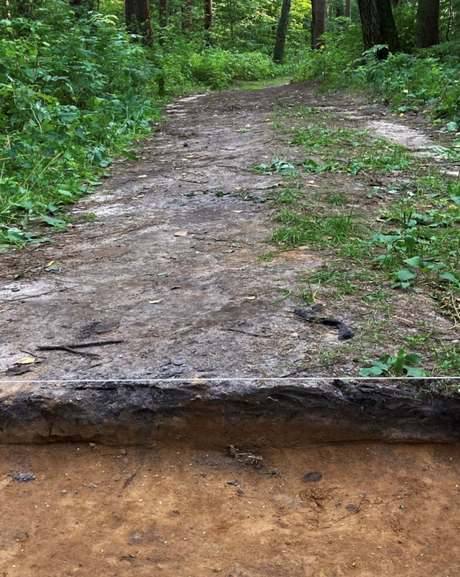 В Смоленске нашли древнейшую действующую дорогу. Это участок знаменитого торгового пути "из варяг в греки"