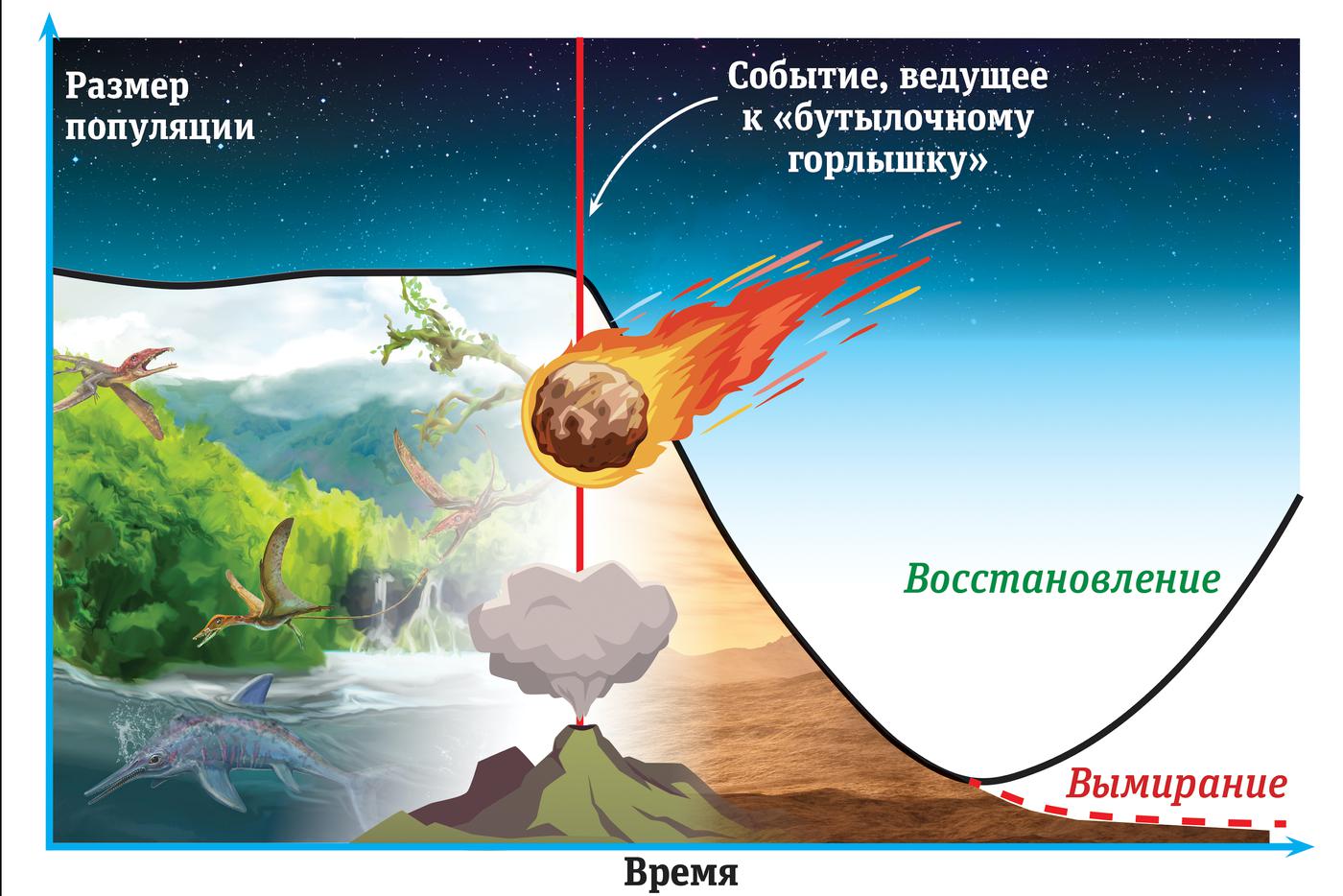 "Бутылочные горлышки" на нашей планете – не редкость.