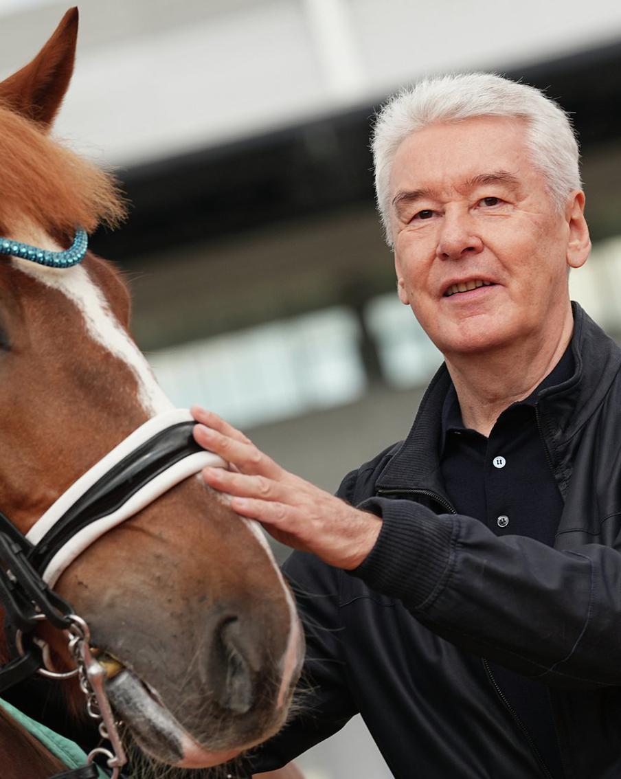 По предварительным данным, на выборах мэра Москвы побеждает действующий глава города Сергей Собянин