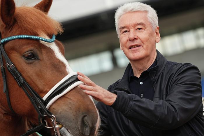 По предварительным данным, на выборах мэра Москвы побеждает действующий глава города Сергей Собянин