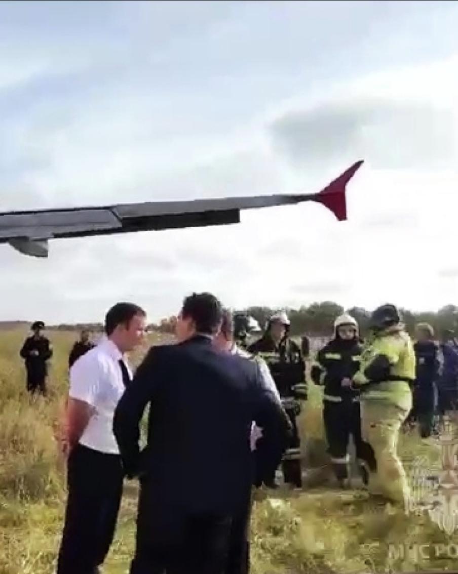 Стала известна причина посадки самолёта в поле под Новосибирском
