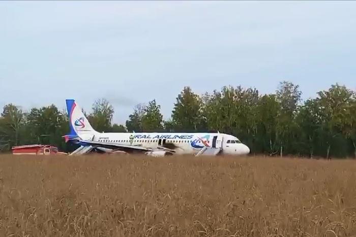 "Остались варианты – или падать, или садиться в поле": эксперт высказался об экстренной посадке Airbus A320