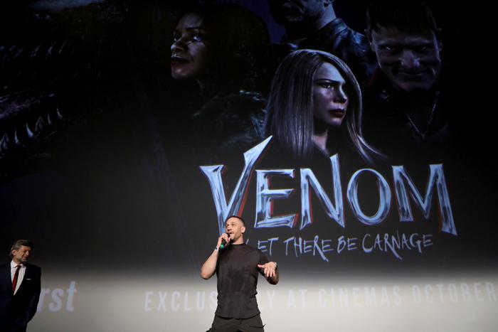 Новый вид паука получил своё имя в честь актёра Тома Харди