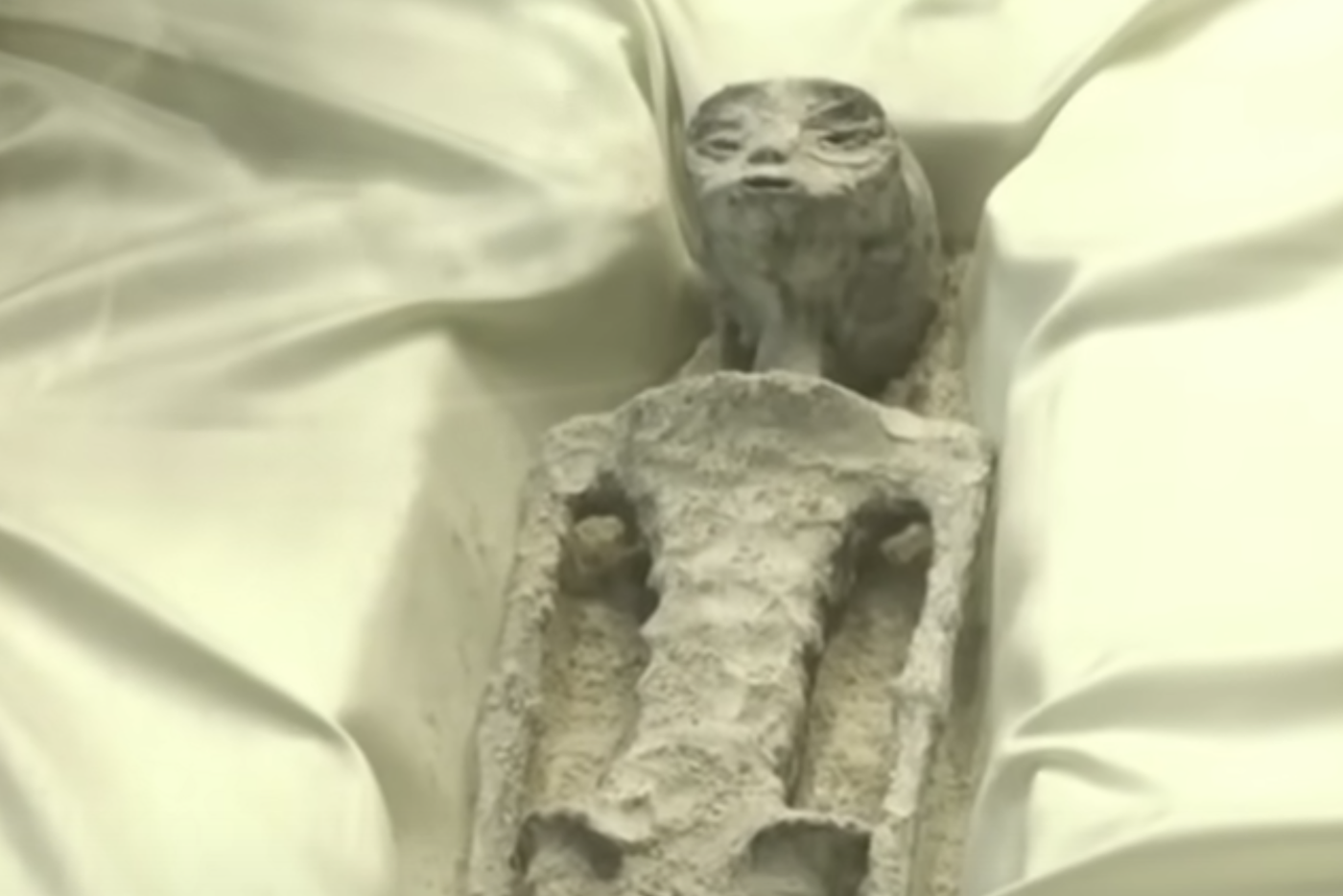 Пришелец вышел к людям: в Мексике общественности показали "труп" инопланетянина