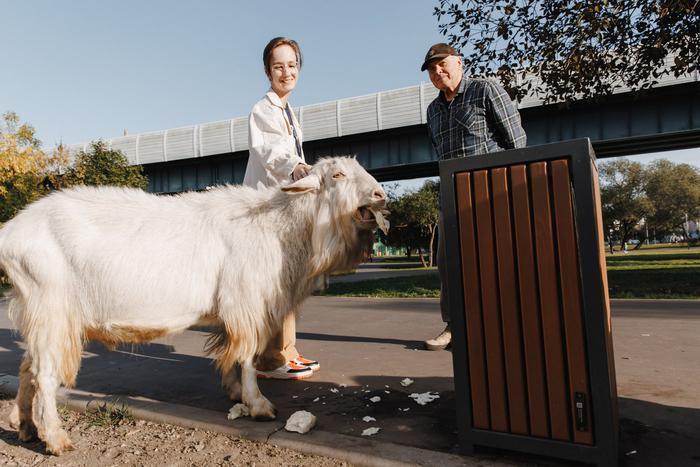 Южное Бутово оккупировали козы. Репортёр Metro отправилась на поиски рогатых
