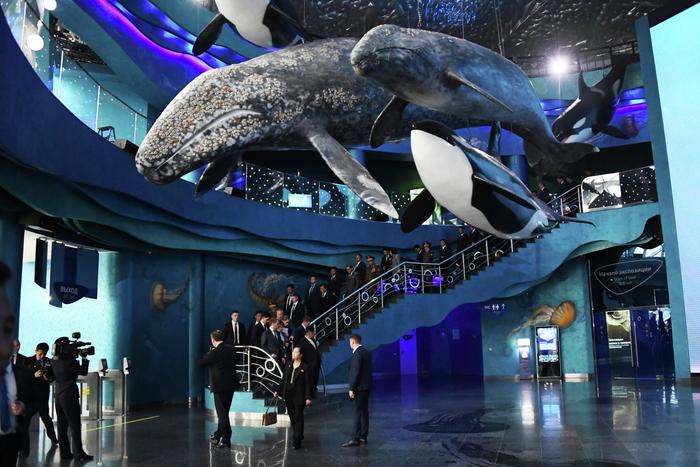 "Мы этим гордимся": приморский океанариум принял Ким Чен Ына