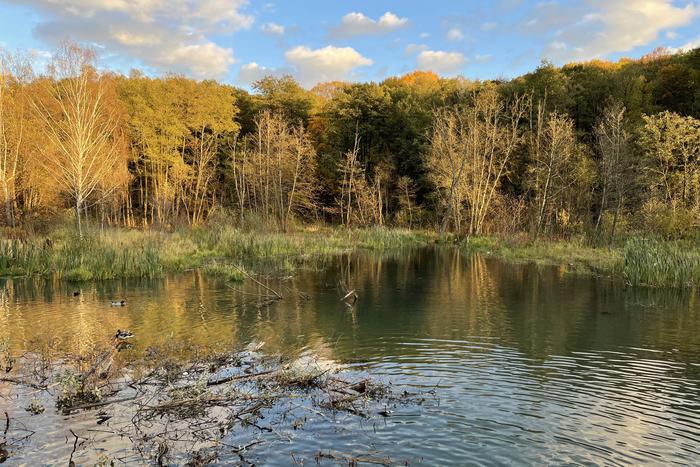 Жителям Москвы и Подмосковья рассказали о погоде в этот понедельник