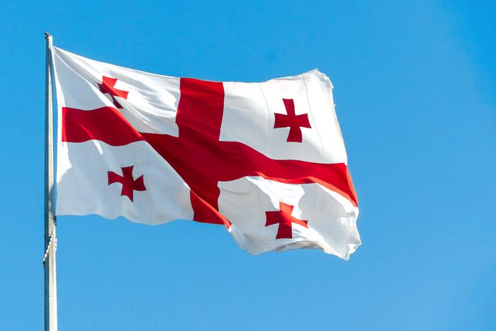 Служба госбезопасности Грузии заявила о готовящемся перевороте