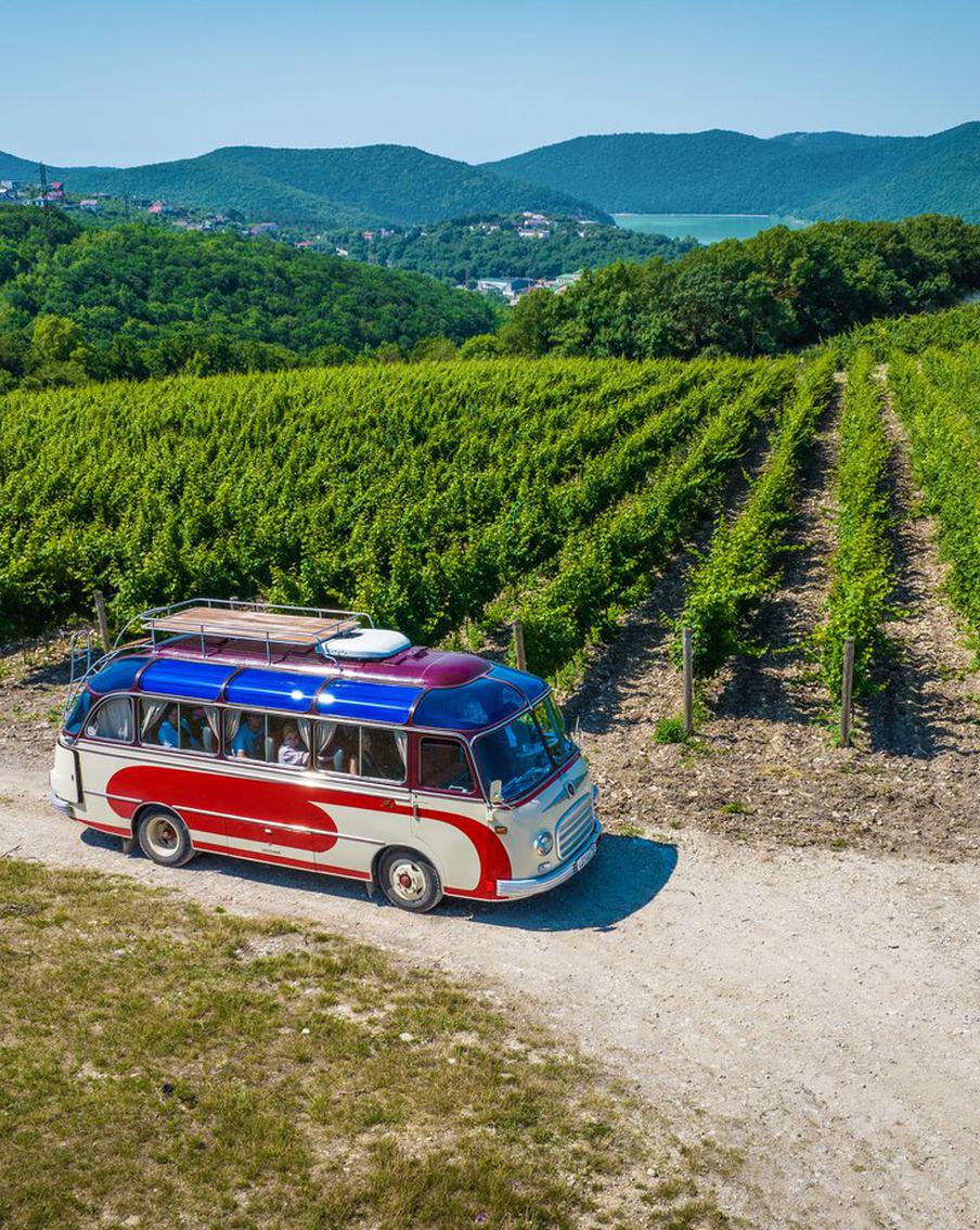 Краснодарский край привлекает туристов не только отличными видами, но и тематическими праздниками