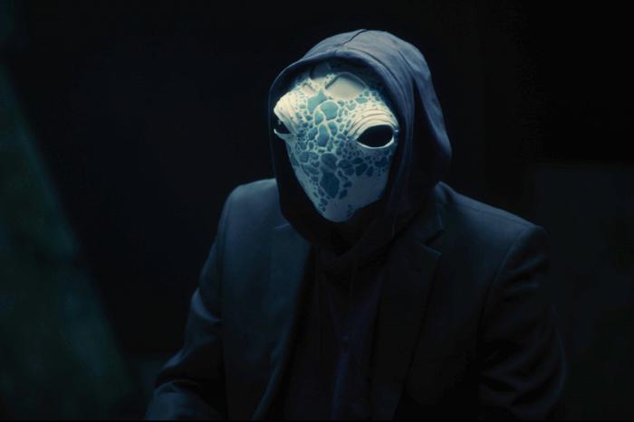 Черепаха, попугай и другие животные дали анонимные интервью