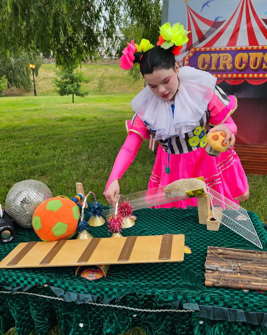 Колючие циркачи предсказывают погоду и рассекают на малюсеньком самокате