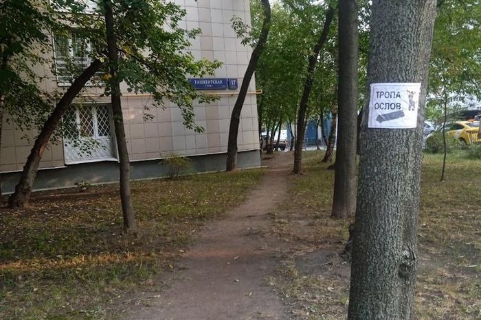 В столичном районе Выхино появилась тропа для "ослов"