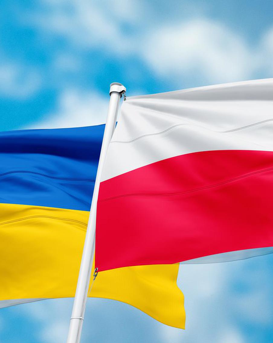 Во Франции призвали остановить Зеленского после "бредового" обвинения