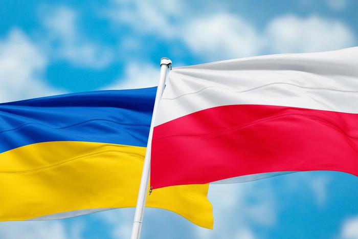 Во Франции призвали остановить Зеленского после "бредового" обвинения