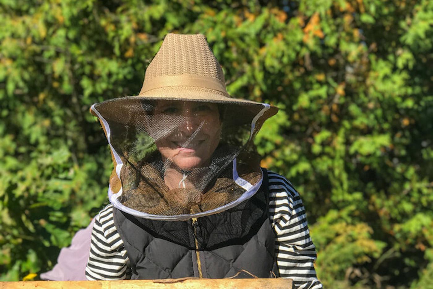 Картина мёдом: как канадская художница и пчёлы работают вместе над созданием необычных произведений