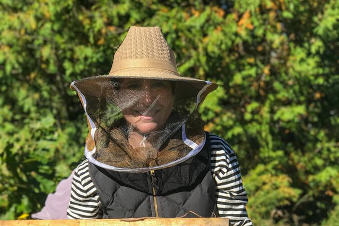 Картина мёдом: как канадская художница и пчёлы работают вместе над созданием необычных произведений