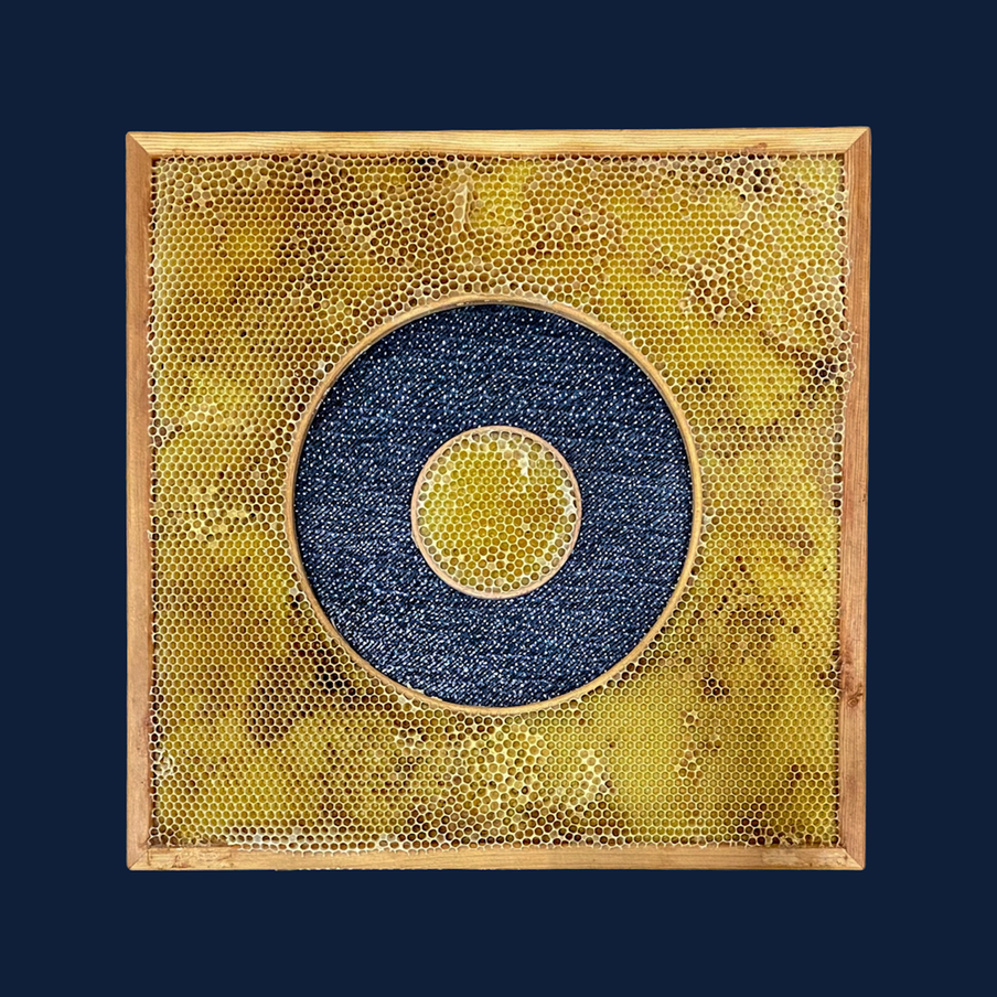 Работа Авы Рот и пчёл. Все фото предоставлены героиней материала.