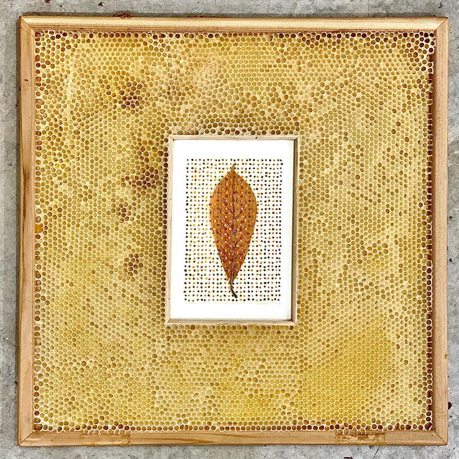 Работа Авы Рот и пчёл. Все фото предоставлены героиней материала.