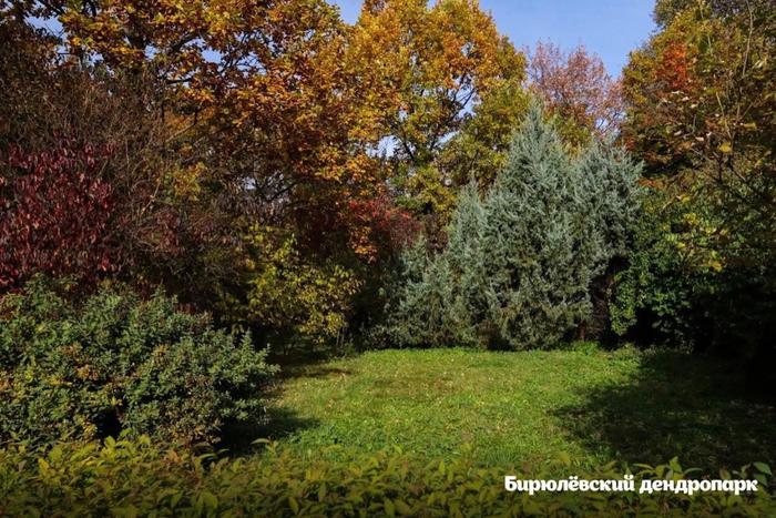 Осень – время, чтобы обновить аватарку в соцсетях. Парки столицы начинают переливаться всеми оттенками золота