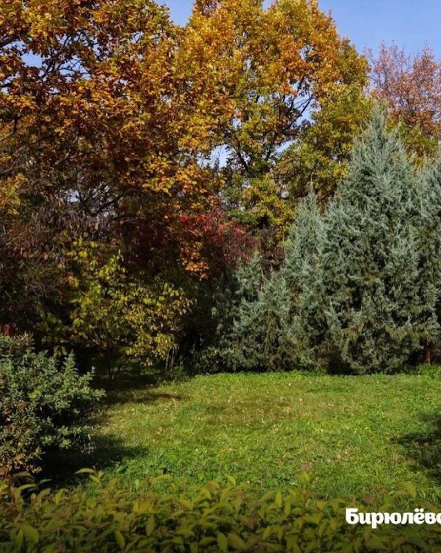 Осень – время, чтобы обновить аватарку в соцсетях. Парки столицы начинают переливаться всеми оттенками золота