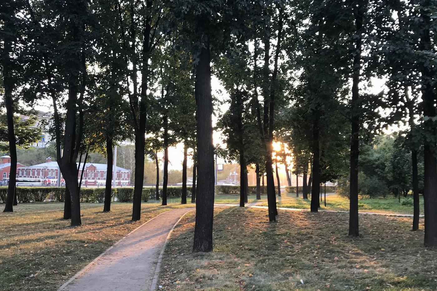 Жителям Москвы и Подмосковья рассказали о погоде в эту пятницу