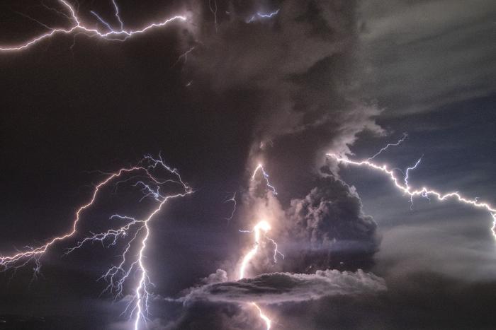 На Алтае ударом молнии убило 40 овец