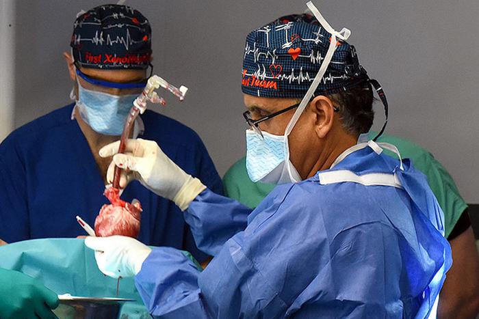 В США во второй раз в истории пересадили человеку свиное сердце