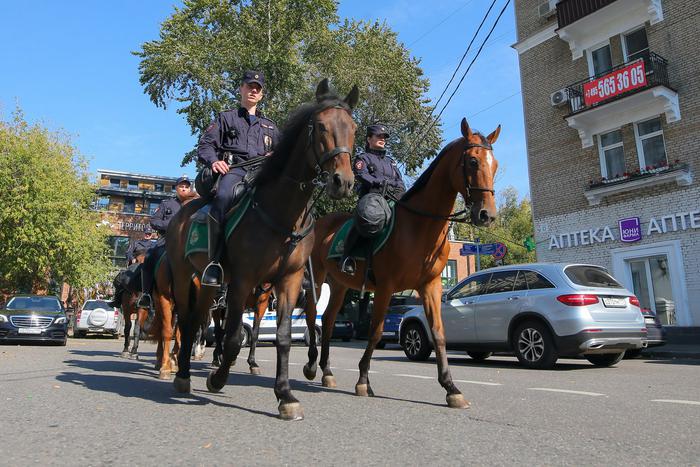 Лошади в городе: репортёр Metro провёл один день с конной полицией