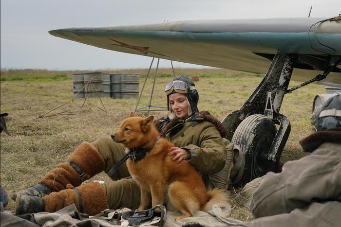 Небесный тихоход Германа-младшего летит в Японию: военную драму "Воздух" покажут в конкурсе кинофестиваля в Токио