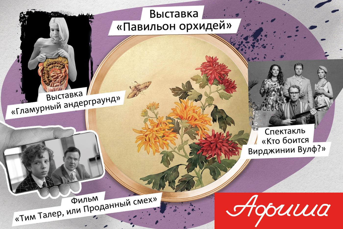 Поём хиты The Beatles, изучаем гламурный андеграунд и работу мозга при стрессе
