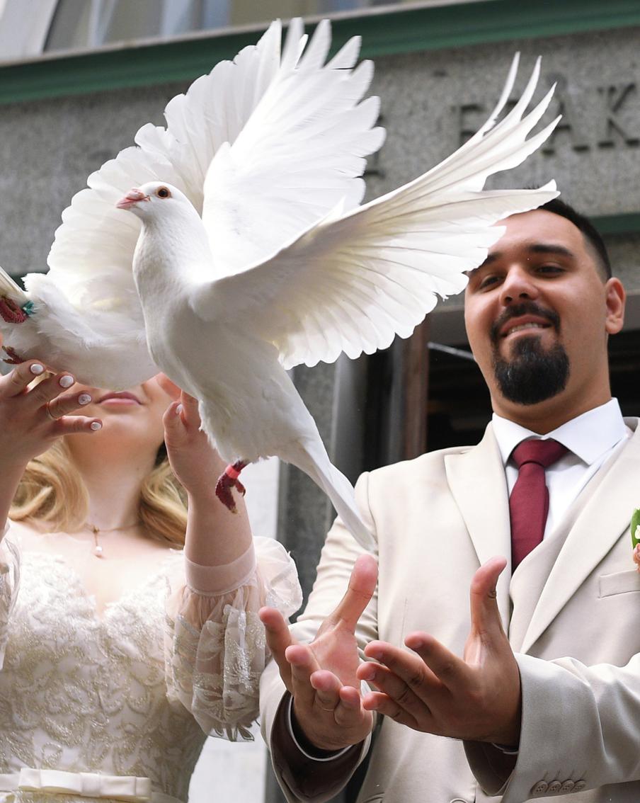 ЛДПР предложила выплачивать молодожёнам денежные поощрения